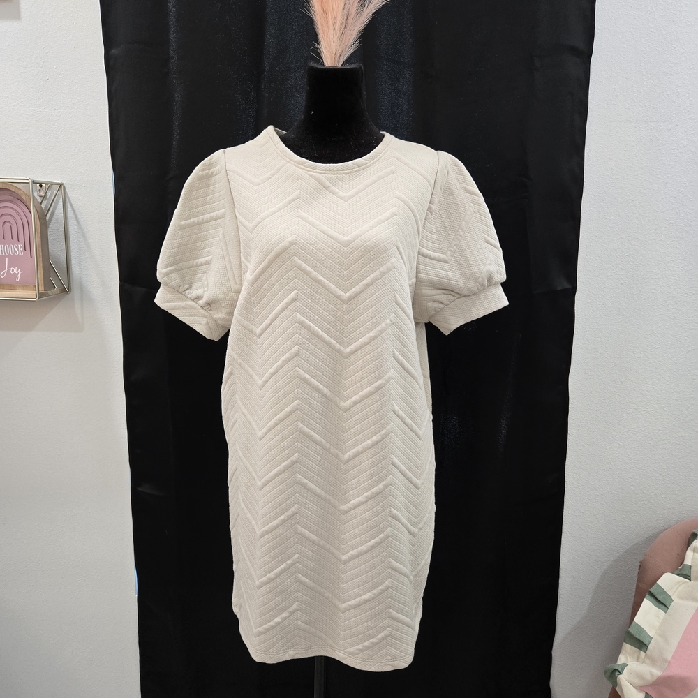 Zara Cream Chevron Mini Dress